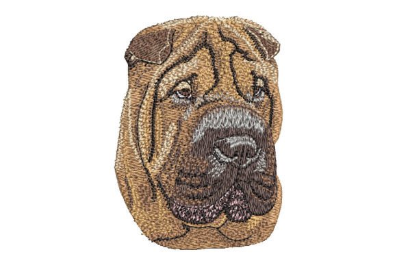 Chinese Shar-Pei: A Seller’s Review
