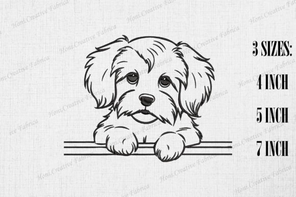 Cute Havanese Dog Peeking Wall: A Designer’s Review