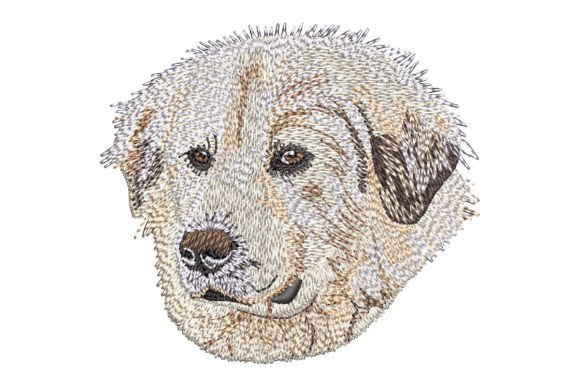 Great Pyrenees: A Designer’s Review for Boutique Sweatshirts