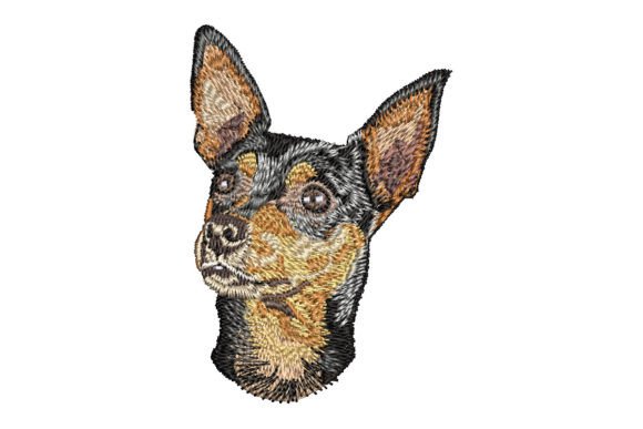 Miniature Pinscher: A Designer’s Stitch Review
